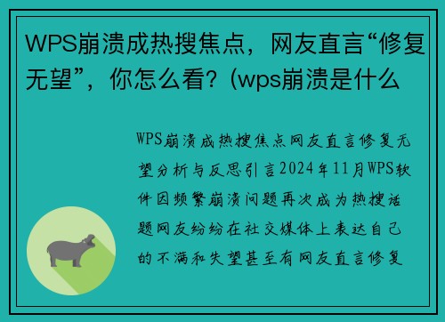 WPS崩溃成热搜焦点，网友直言“修复无望”，你怎么看？(wps崩溃是什么原因)